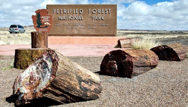 парк Petrified Forest Аризона США